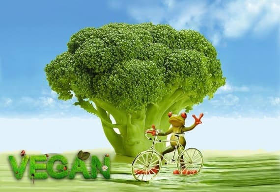 Afbeelding voor artikel: Deense rechtbank: veganisme is Mensenrecht