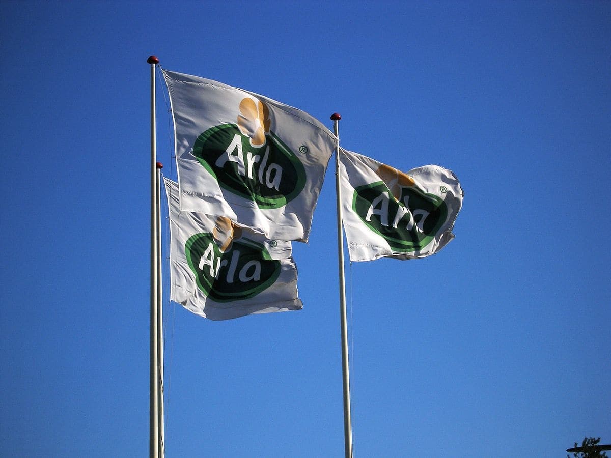 Afbeelding voor artikel: Arla wil met overname van Domty sterke internationale zuivelpositie