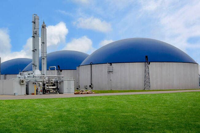 Afbeelding voor artikel: Duitse natuurbond: bio-energie niet zo natuurvriendelijk