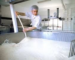 Afbeelding voor artikel: Duitse zuivelindustrie klaagt over achterblijvende melkproductie