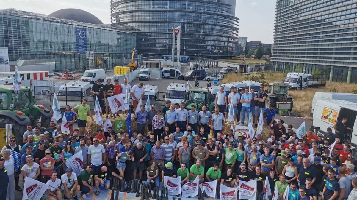 Afbeelding voor artikel: EU-boeren willen Green Deal verder terugdraaien