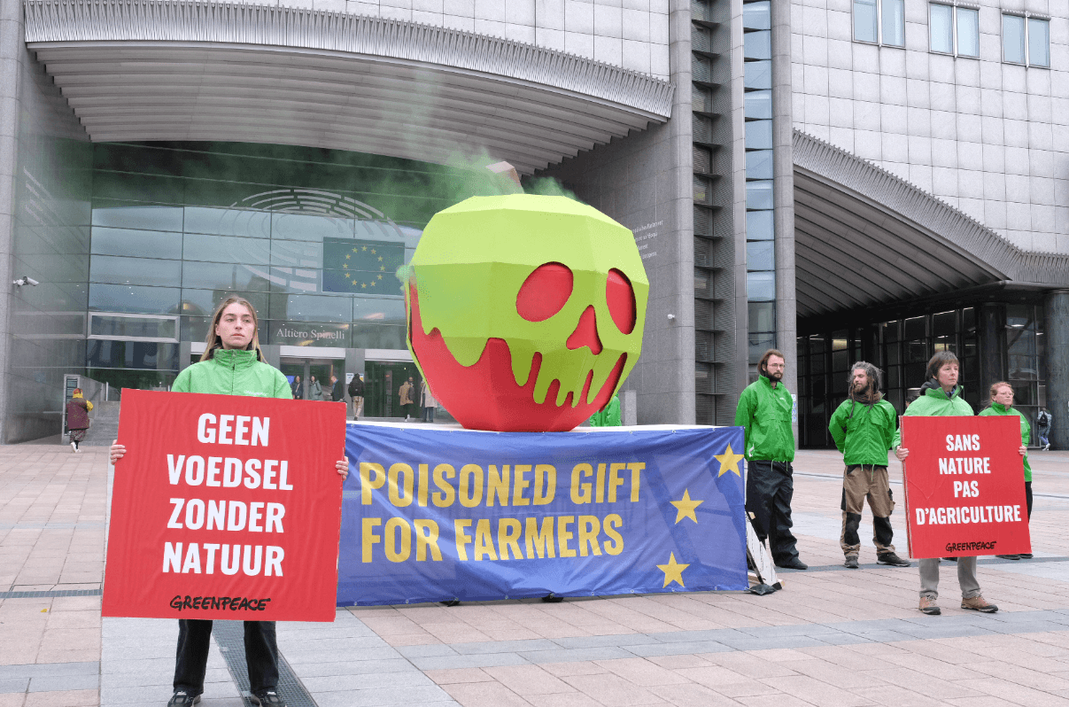 Afbeelding voor artikel: Europese verkiezingen bedreiging voor Green Deal