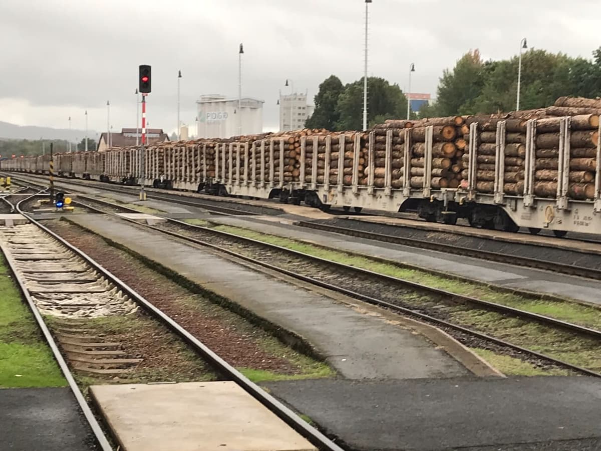 Afbeelding voor artikel: Finse milieuclubs starten proces tegen Helsinki om Klimaatbeleid