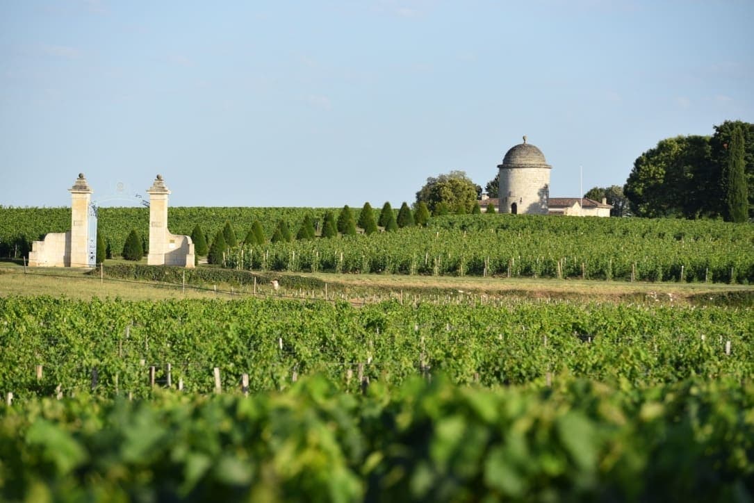 Afbeelding voor artikel: Frankrijk heroverweegt na Trump's importboetes verzet tegen Mercosur