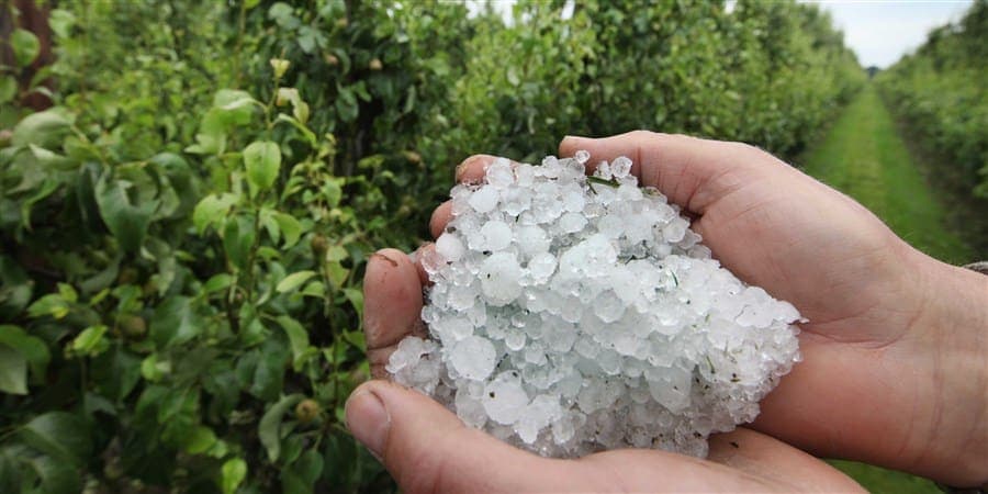 Afbeelding voor artikel: Hagel richt grote schade aan in Oostenrijk en Noord-Italië