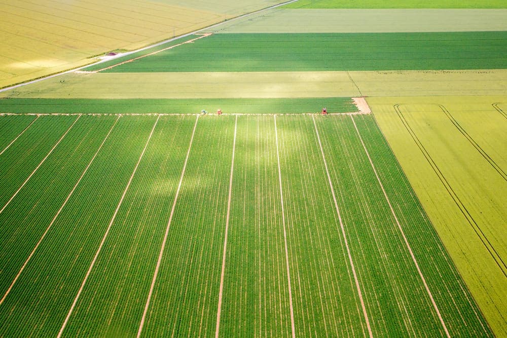 Afbeelding voor artikel: Meeste Duitse deelstaten willen in landbouw minder groene regels