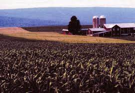 Afbeelding voor artikel: Nederlandse pensioenfondsen grootste Europese beleggers in Amerikaanse landbouwgrond