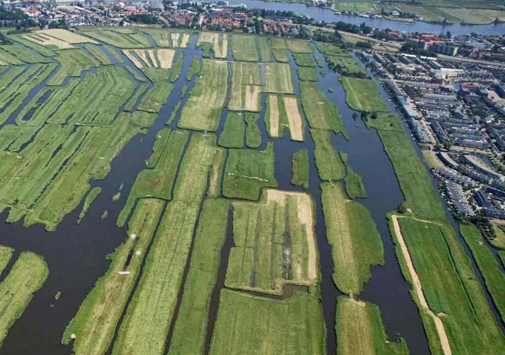 Afbeelding voor artikel: Nederlandse provincies doen te weinig tegen watervervuiling