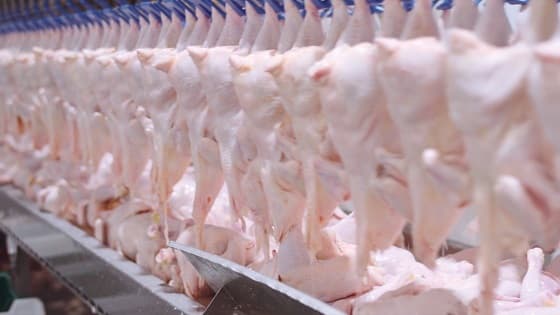 Afbeelding voor artikel: Oekraiense pluimvee-gigant MHP breidt uit op de Balkan