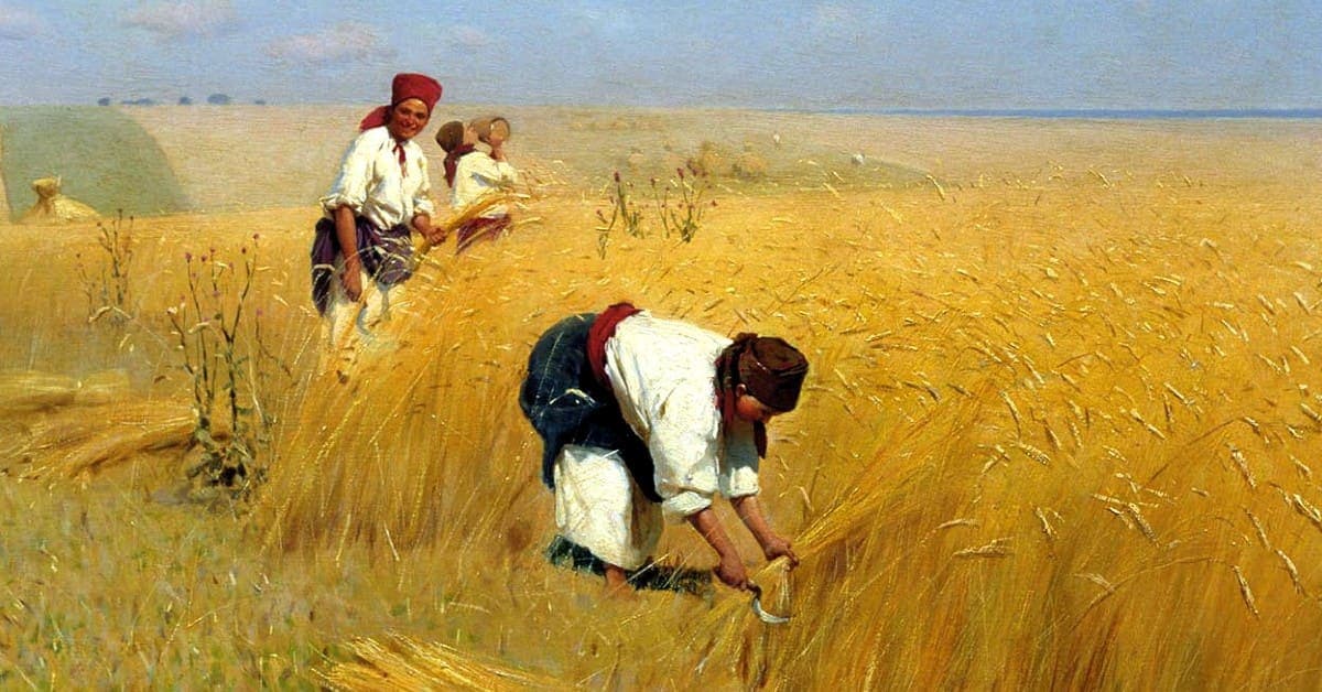 Afbeelding voor artikel: Oekraïne ziet kansen voor agri-export en wederopbouw van de veehouderij