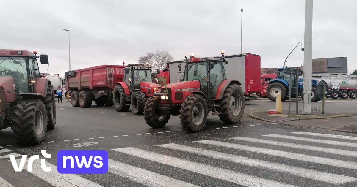 Afbeelding voor artikel: Ook België overweegt wet op prijsvorming en quota