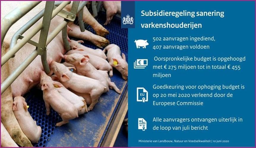 Afbeelding voor artikel: Roemenië wil met EU-hulp varkensindustrie uitbreiden