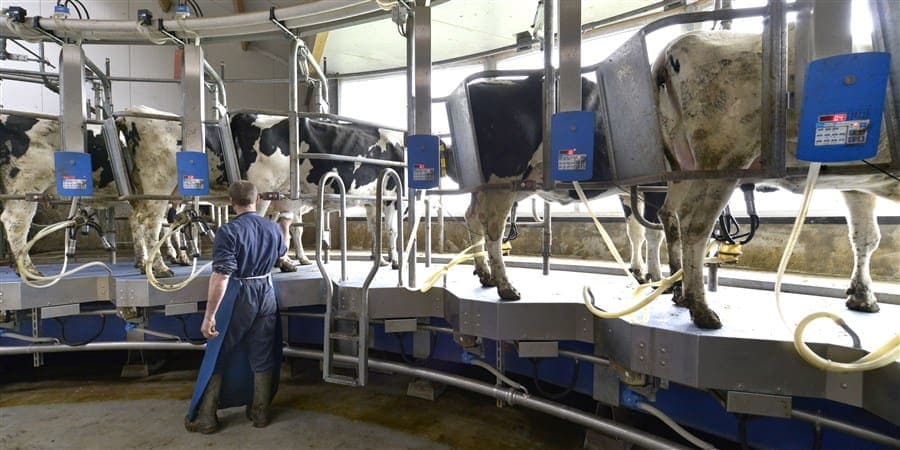Afbeelding voor artikel: Zwitserse boeren halen hogere melkprijs binnen